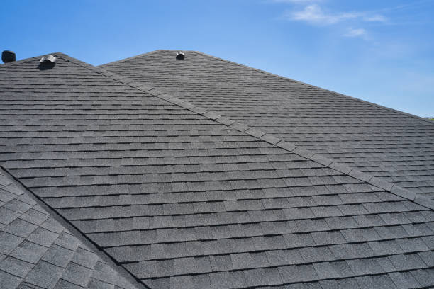 Best Roof Coating and Sealing  in Hoback, WY